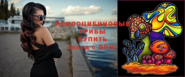 мдпв Богородск