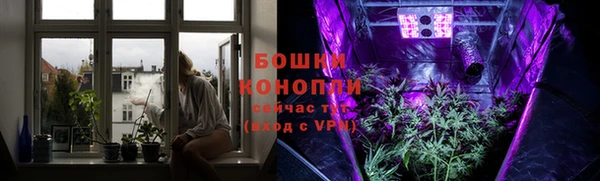 мдпв Богородск