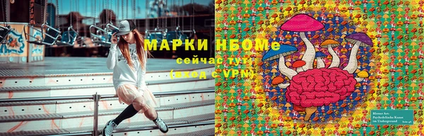 PSILOCYBIN Богданович