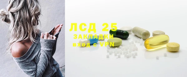 мдпв Богородск