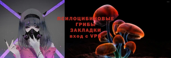 PSILOCYBIN Богородицк