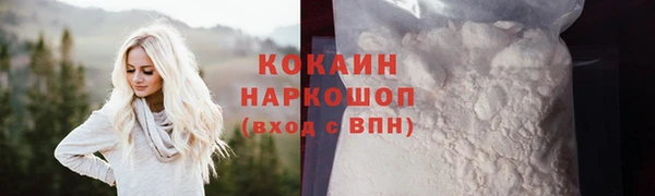 PSILOCYBIN Богородицк