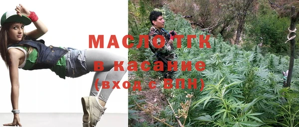 мдпв Богородск