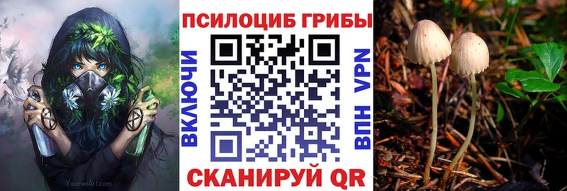 гидра ссылки  Самара  Псилоцибиновые грибы Magic Shrooms 